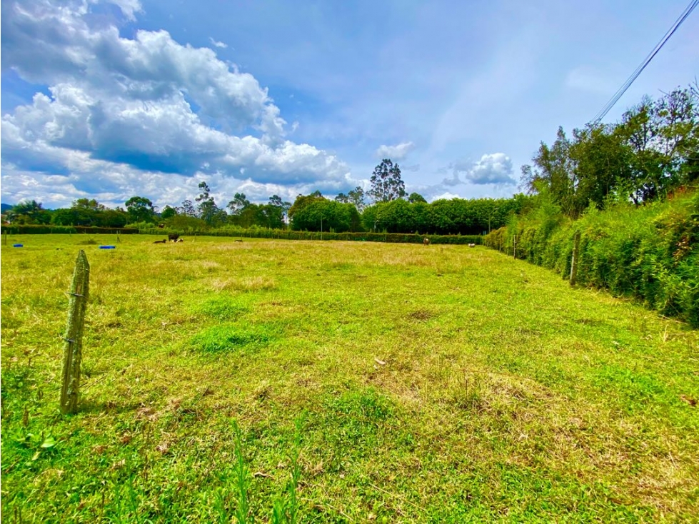 Lote en Arriendo en Rionegro sector Llanogrande - 5