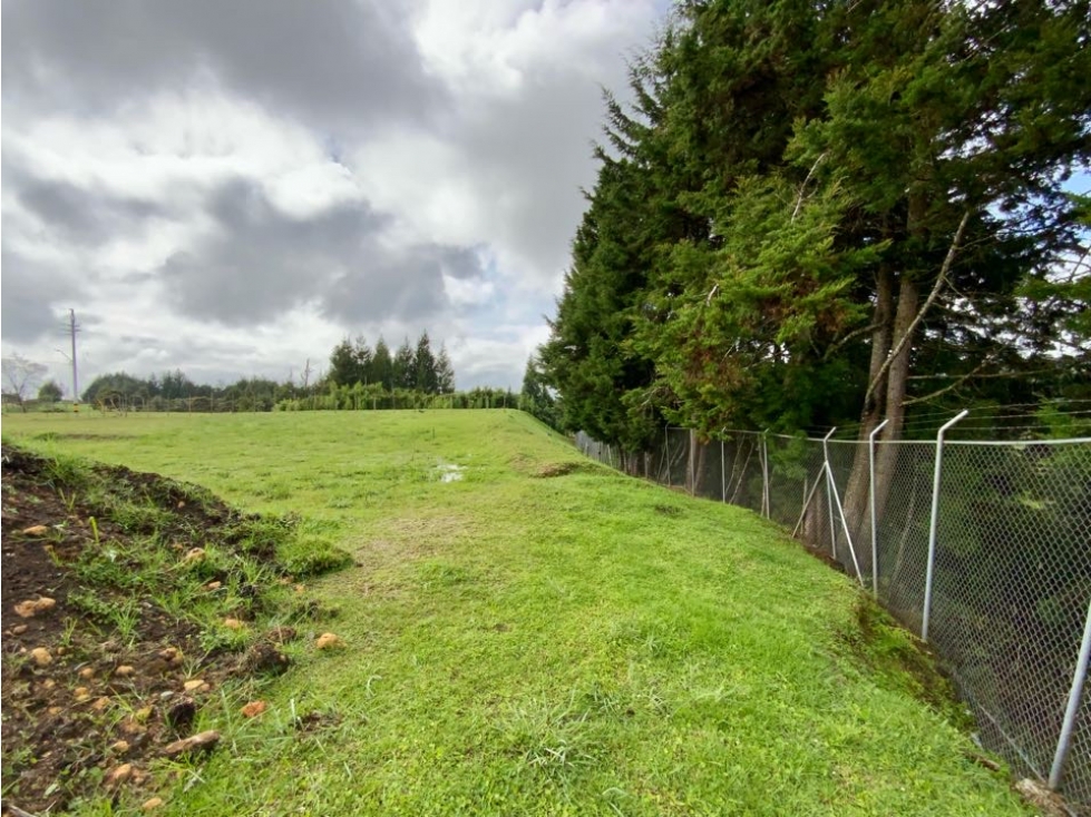 Lote Para Bodega Unidad Cerrada (Guarne) — foto 2