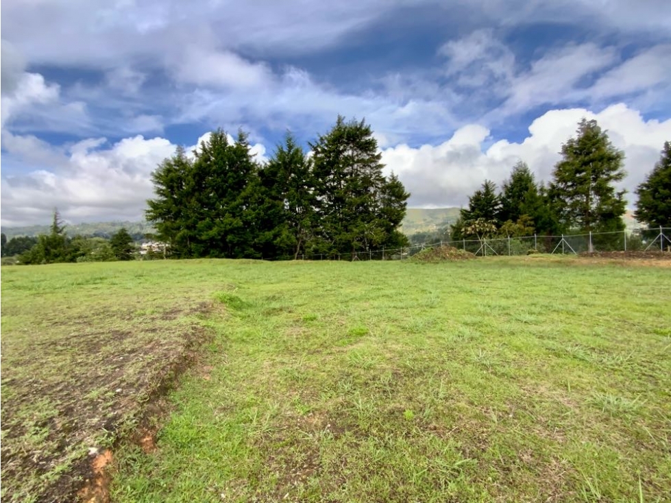 Lote Para Bodega Unidad Cerrada (Guarne) — foto 3