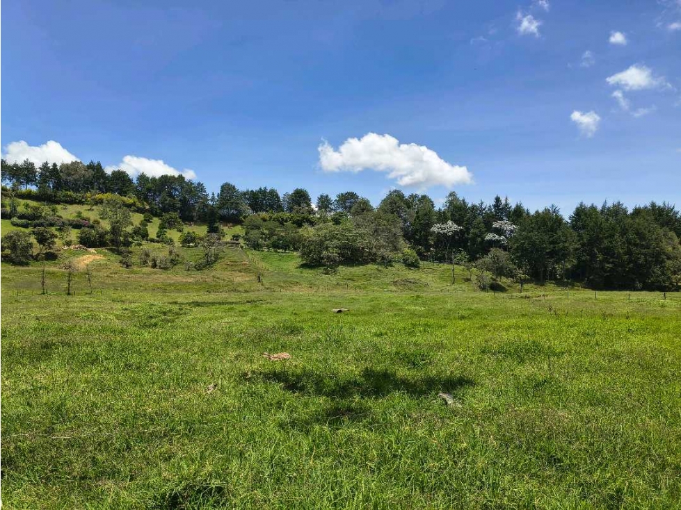 Lote para Bodegas o Parques empresariales sector Aeropuerto Rionegro