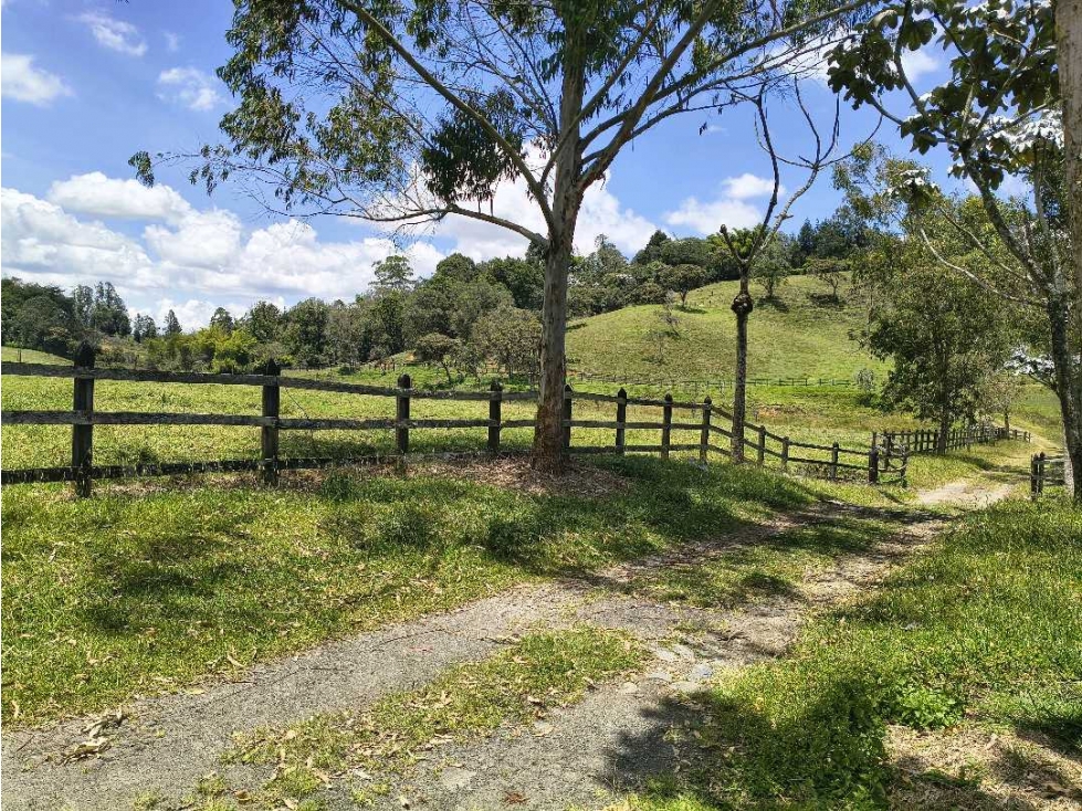 Lote para Bodegas o Parques empresariales sector Aeropuerto Rionegro — foto 4