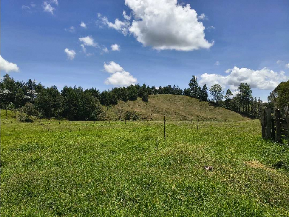 Lote para Bodegas o Parques empresariales sector Aeropuerto Rionegro — foto 5