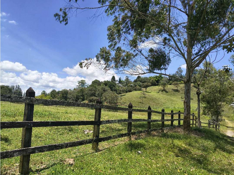 Lote para Bodegas o Parques empresariales sector Aeropuerto Rionegro — foto 6
