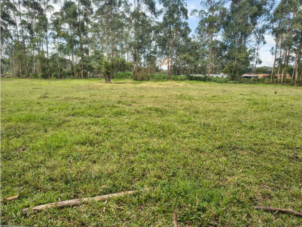 2 Lotes para Comercio y Servicios Sector La Morelia en Llanogrande