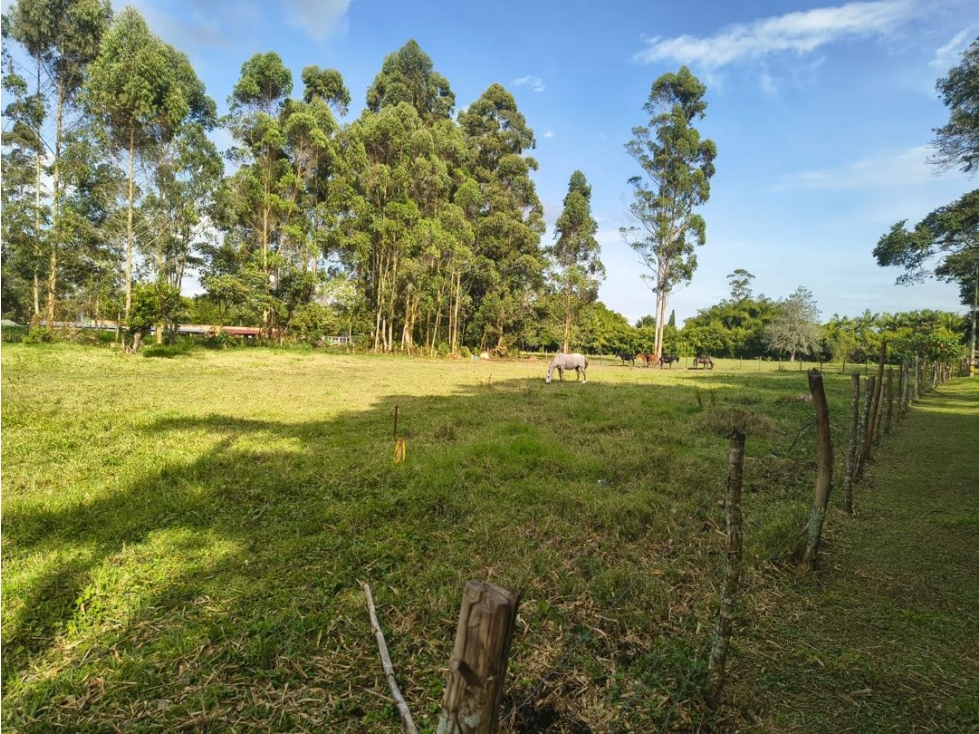 2 Lotes para Comercio y Servicios Sector La Morelia en Llanogrande — foto 3