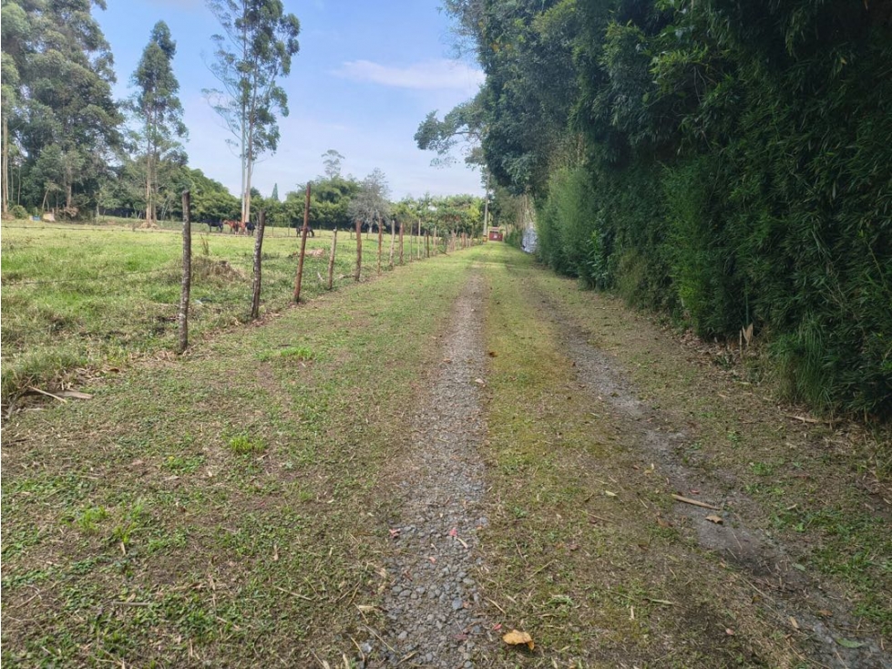 2 Lotes para Comercio y Servicios Sector La Morelia en Llanogrande — foto 5