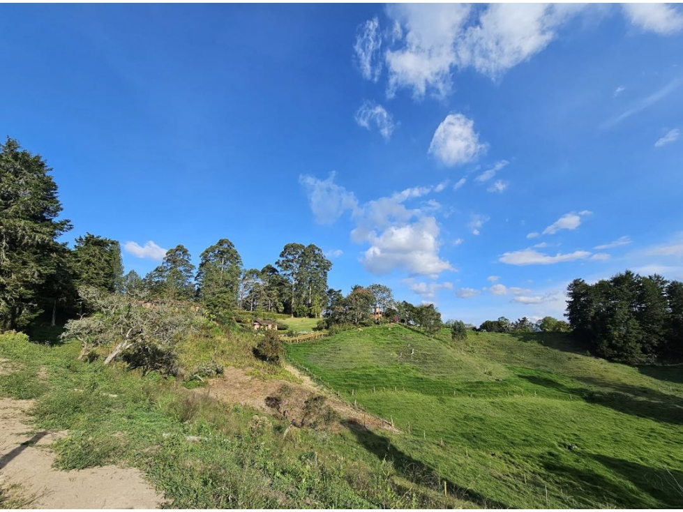 Lote para desarrollo parcelación en Llanogrande — foto 2