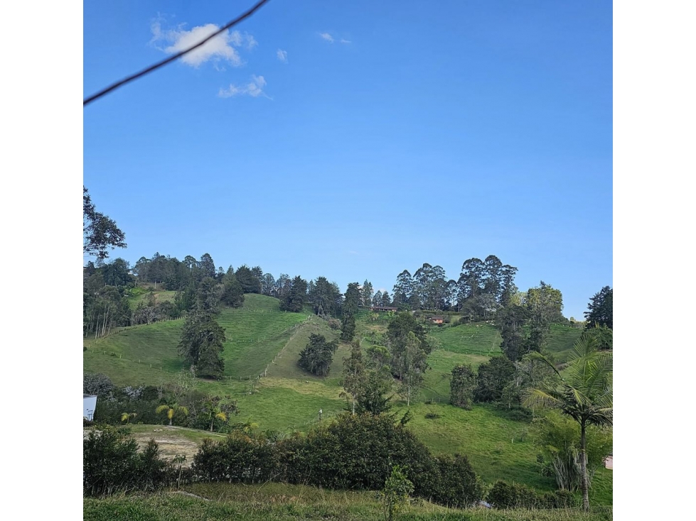 Lote para desarrollo parcelación en Llanogrande — foto 3