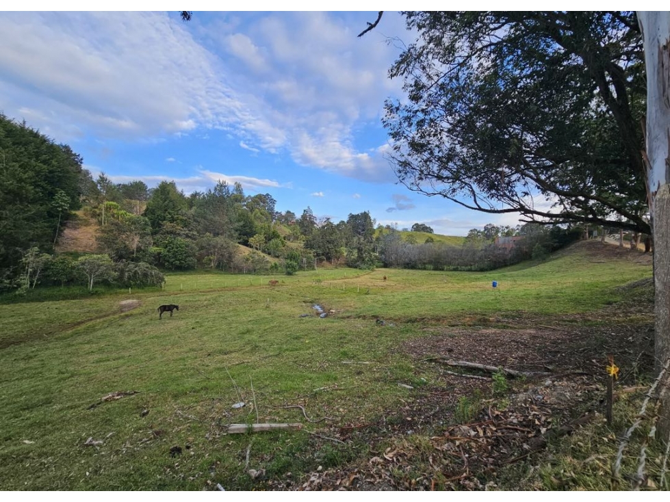 Lote para desarrollo parcelación en Llanogrande — foto 4