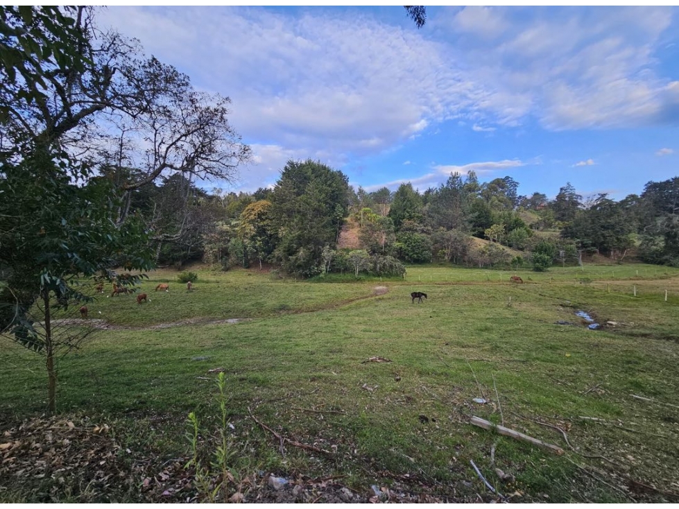 Lote para desarrollo parcelación en Llanogrande — foto 6