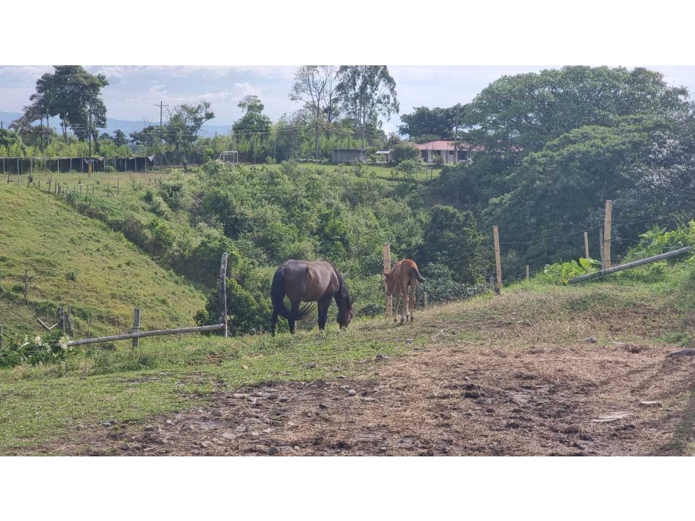 Lote para la venta al norte de Armenia para proyecto