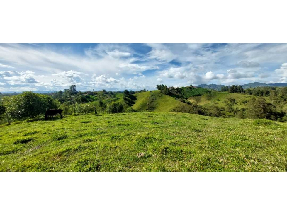 Lote para la venta con linda vista en sector tranquilo, Santuario