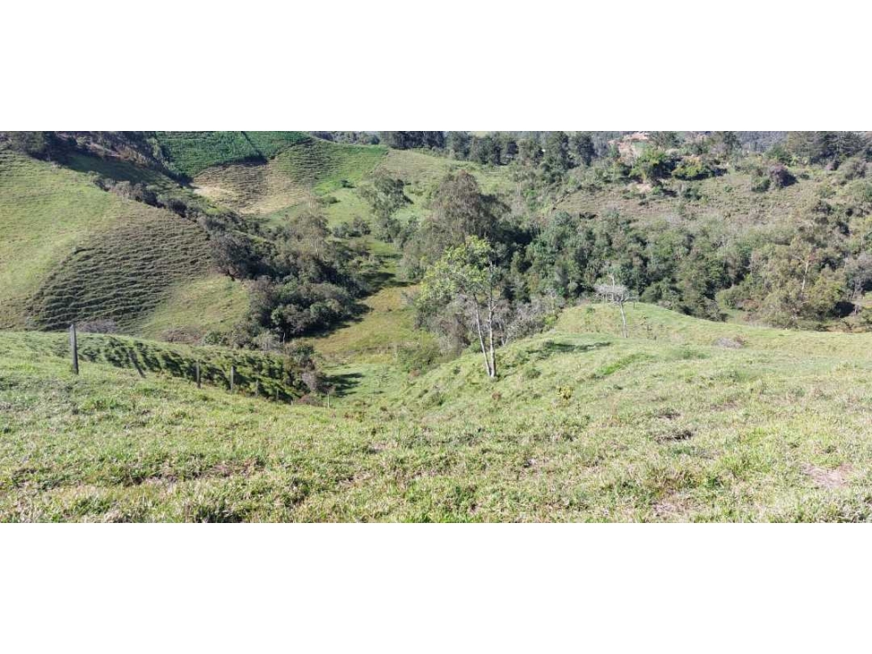 Lote para la venta con linda vista en sector tranquilo, Santuario — foto 4