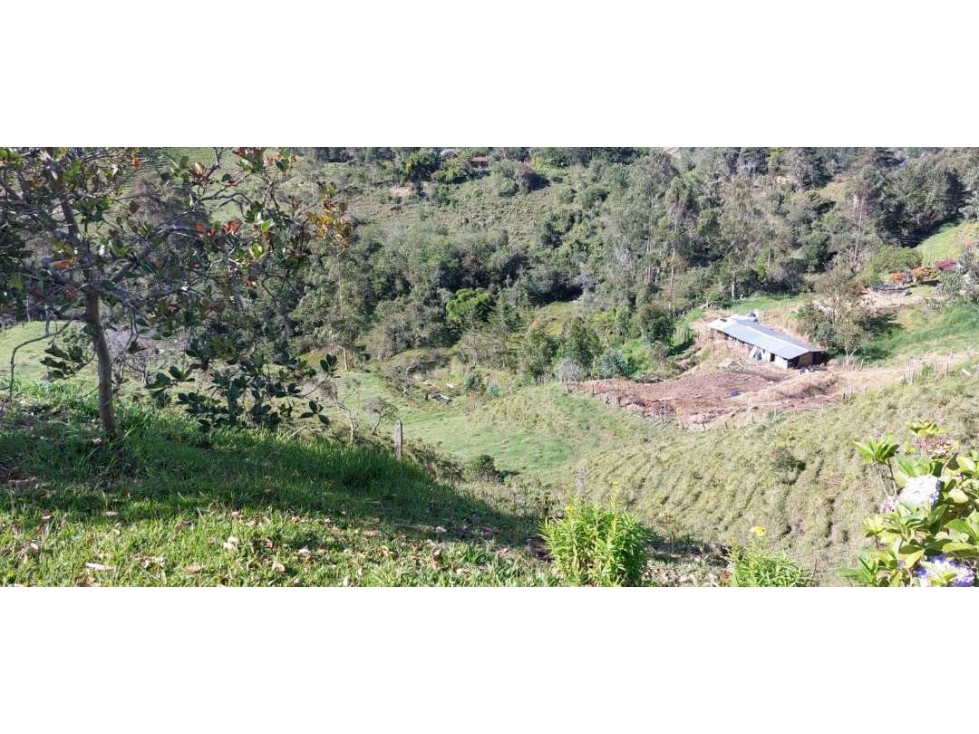 Lote para la venta con linda vista en sector tranquilo, Santuario — foto 6