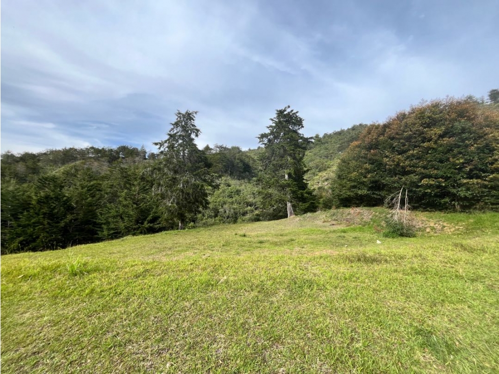 Lote para la venta Condominio campestre, Vereda el Chuzcal, El Retiro — foto 4