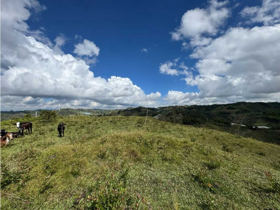 LOTE PARA LA VENTA EL PEÑOL VEREDA LA CHAPA - 1