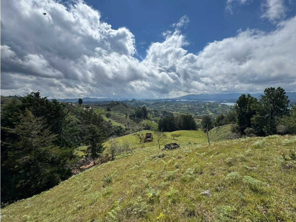 LOTE PARA LA VENTA EL PEÑOL VEREDA LA CHAPA - 4