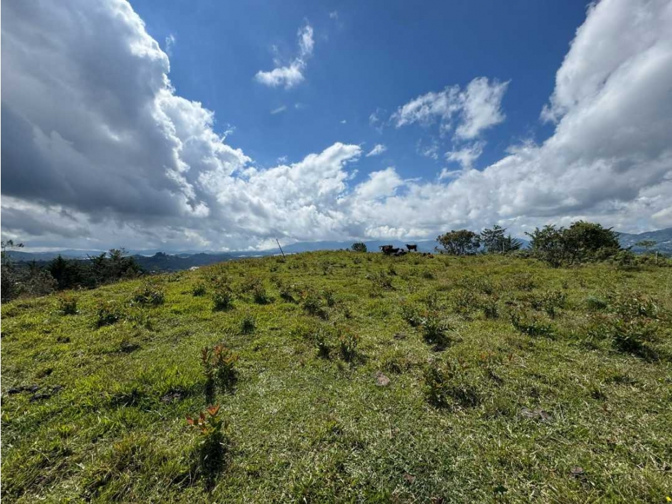 LOTE PARA LA VENTA EL PEÑOL VEREDA LA CHAPA - 5