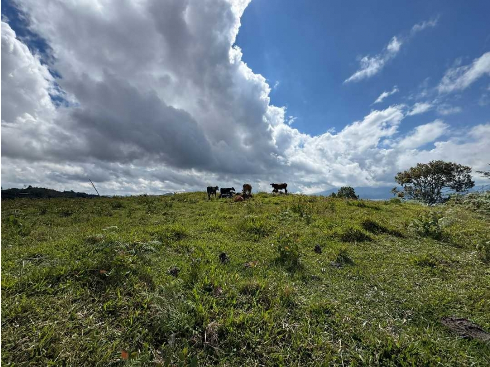 LOTE PARA LA VENTA EL PEÑOL VEREDA LA CHAPA - 6