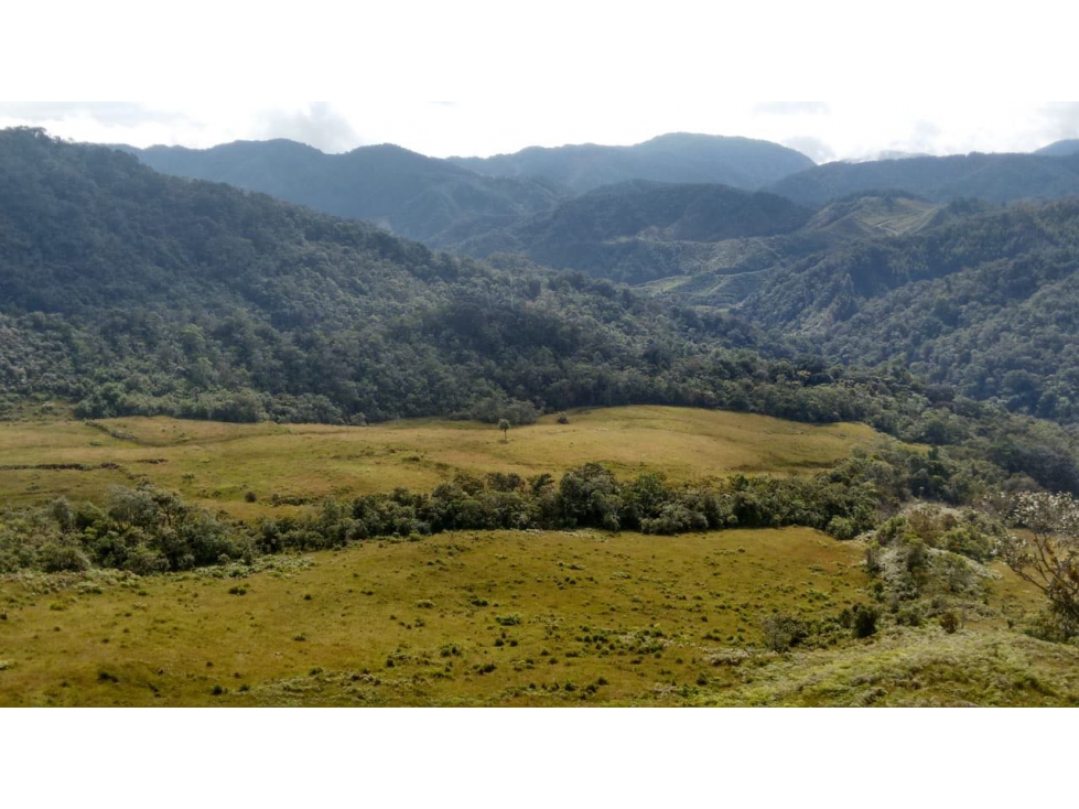 Lote en Venta en el Carmen de Viboral — foto 2