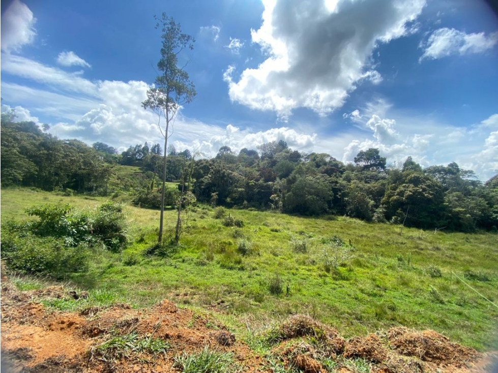 Lote en Venta en El santuario — foto 4