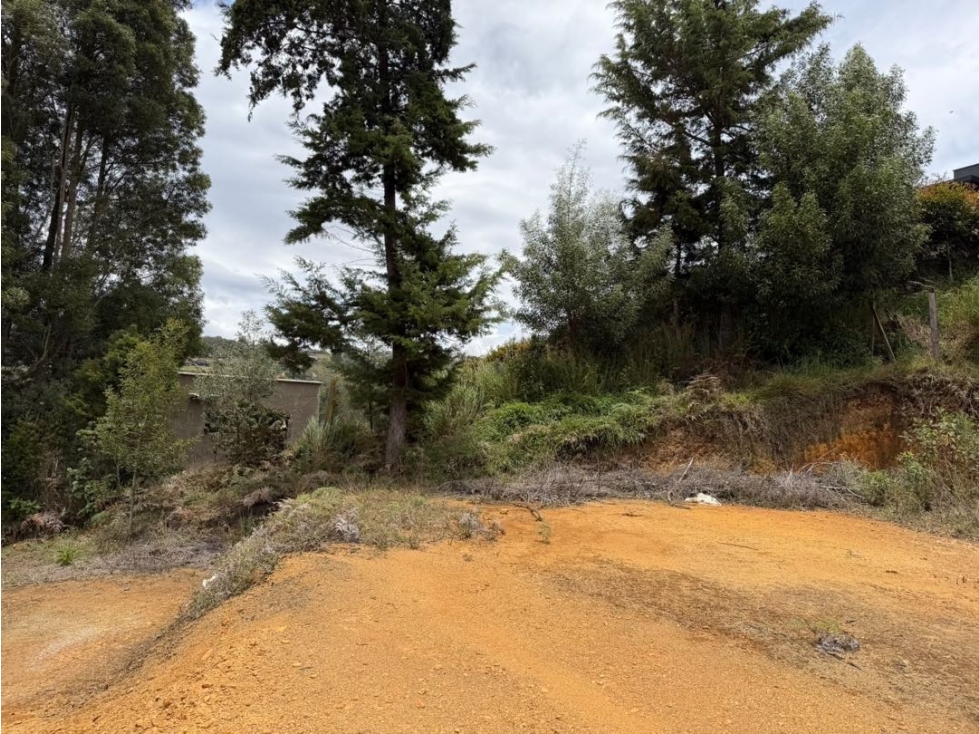 Lote en Venta en Guarne — foto 4