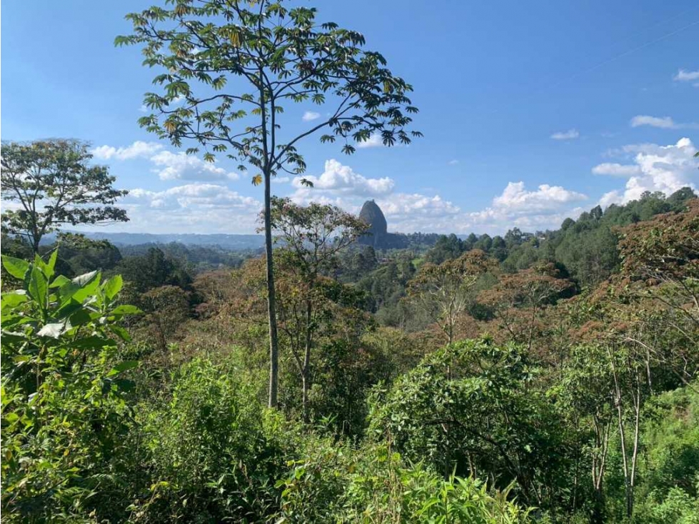LOTE PARA LA VENTA EN GUATAPE VEREDA LA PEÑA - 2