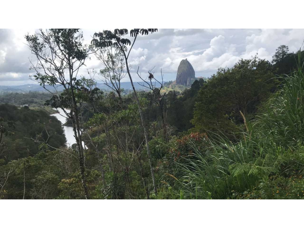 LOTE PARA LA VENTA EN GUATAPE VEREDA LA PEÑA - 4