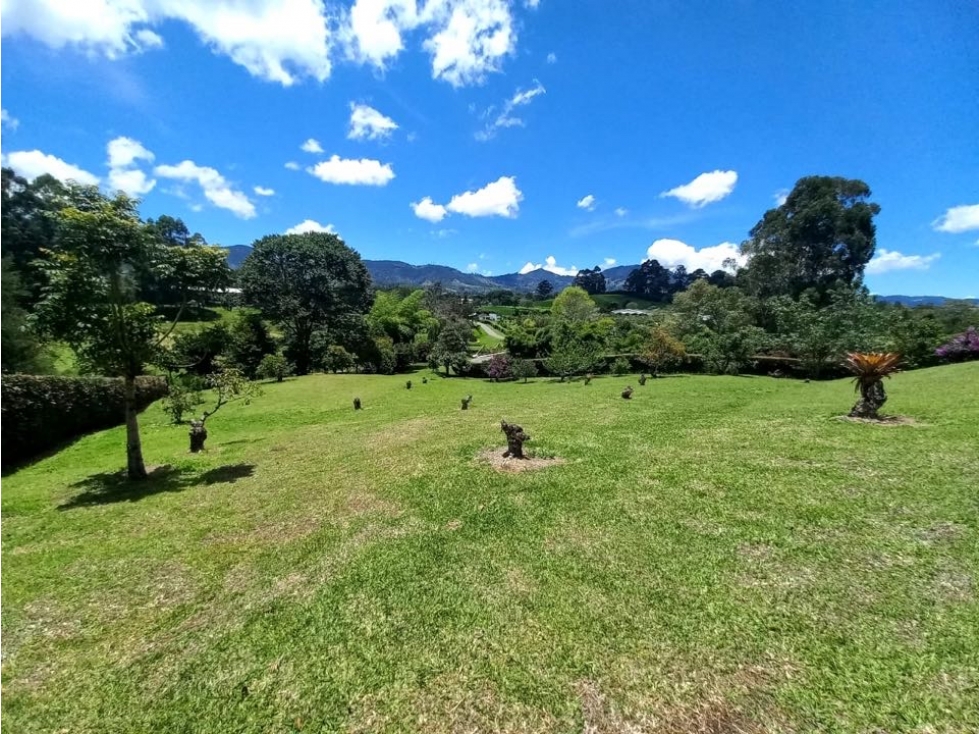 Lote para la Venta en La Ceja Sector Cantarrana - 1