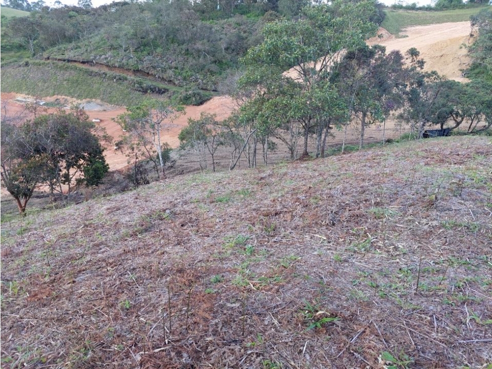 Lote para la Venta en La Ceja Antioquia - 1