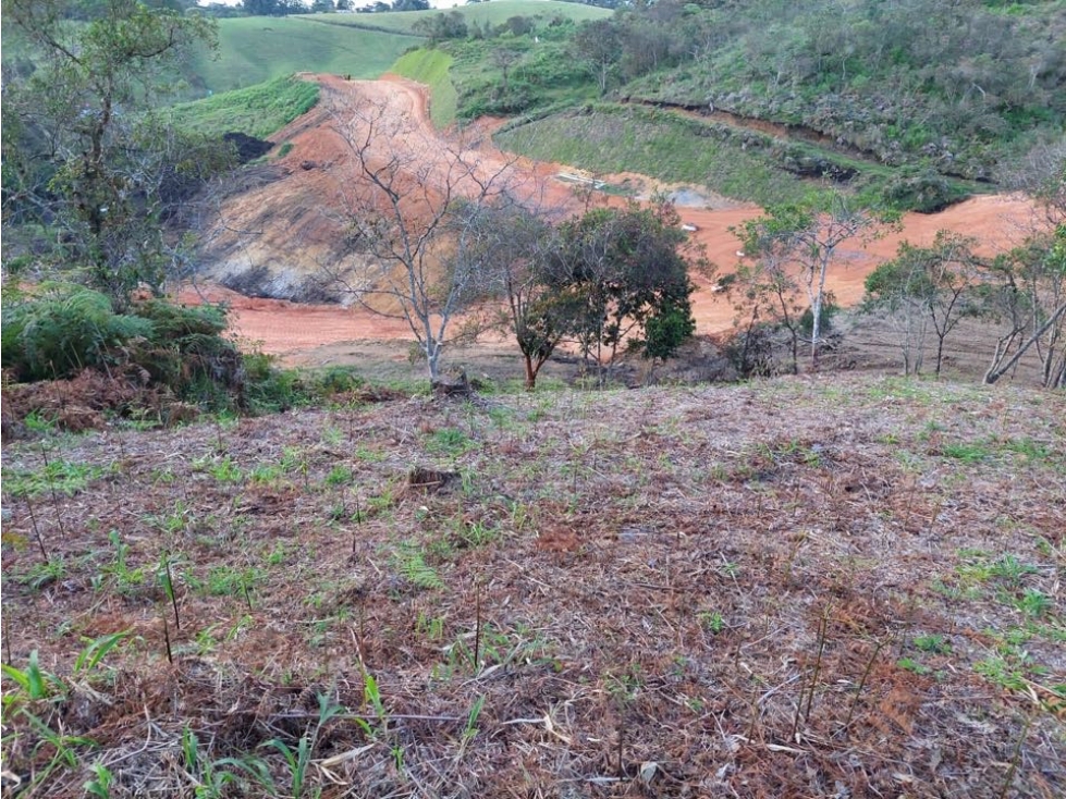 Lote para la Venta en La Ceja Antioquia - 2