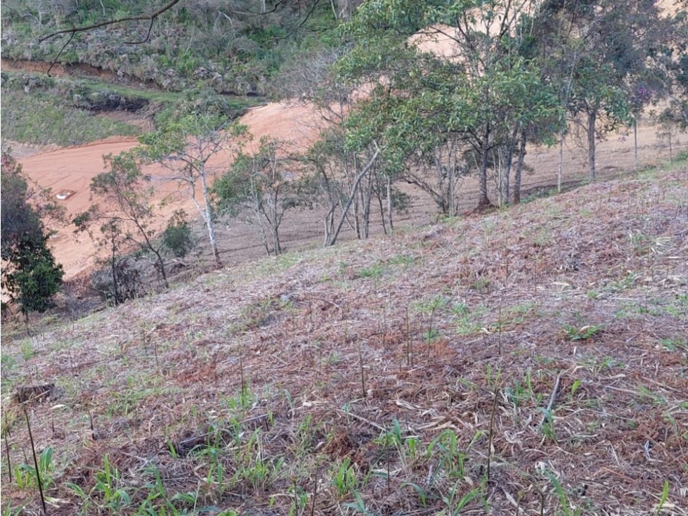 Lote para la Venta en La Ceja Antioquia - 3