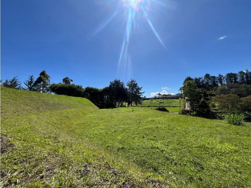 Lote en Venta en Llanogrande