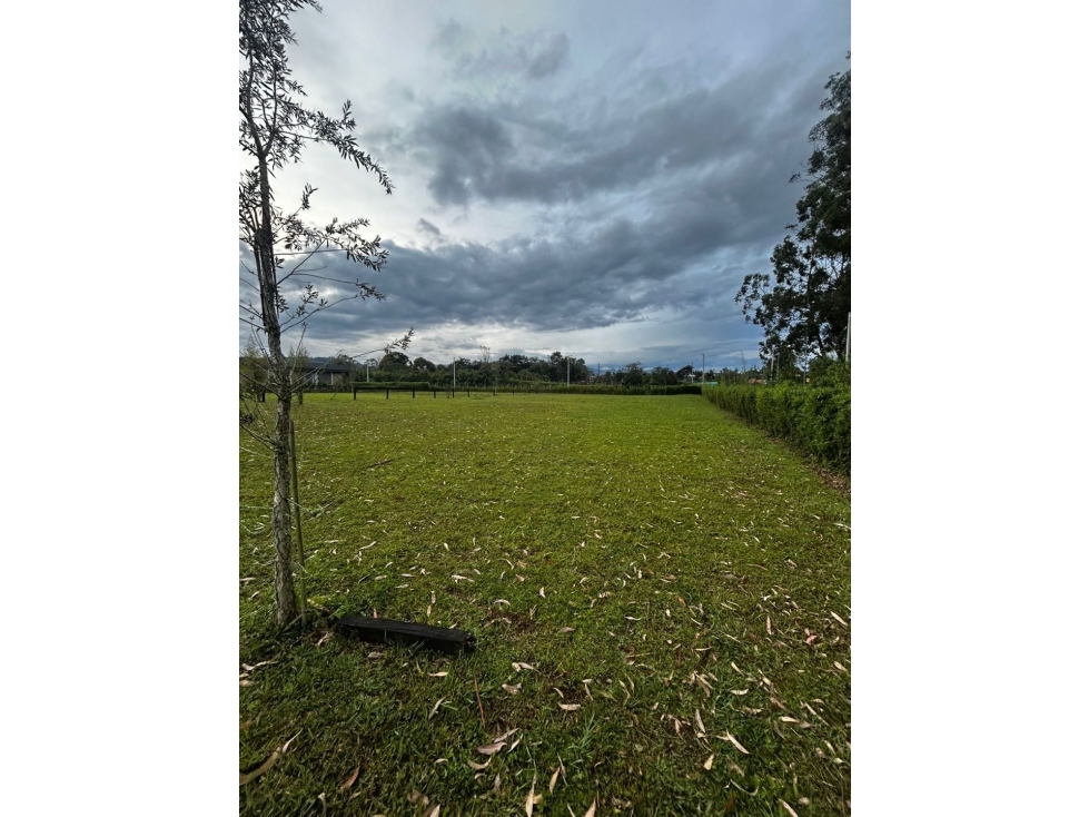 Lote en Venta en Llanogrande