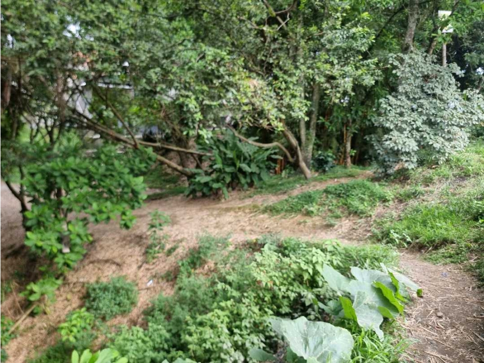 Lote para la venta en Montenegro sobre via principal