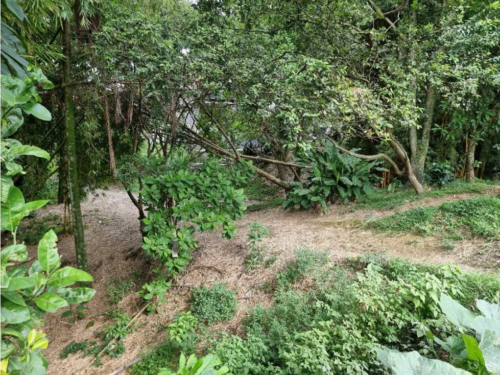 Lote para la venta en Montenegro sobre via principal — foto 2