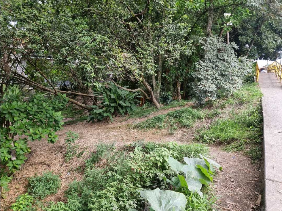 Lote para la venta en Montenegro sobre via principal — foto 3
