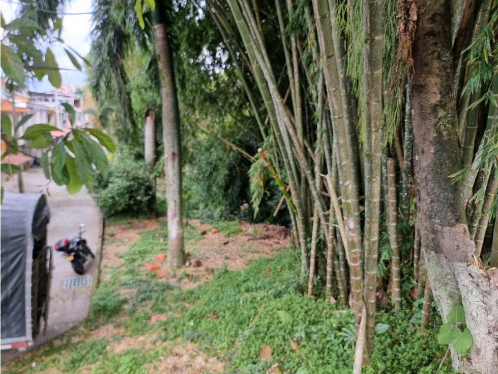 Lote para la venta en Montenegro sobre via principal — foto 6