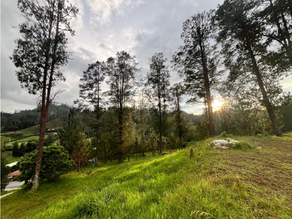 Lote para la venta en Parcelación en el Retiro, vía Don Diego — foto 3