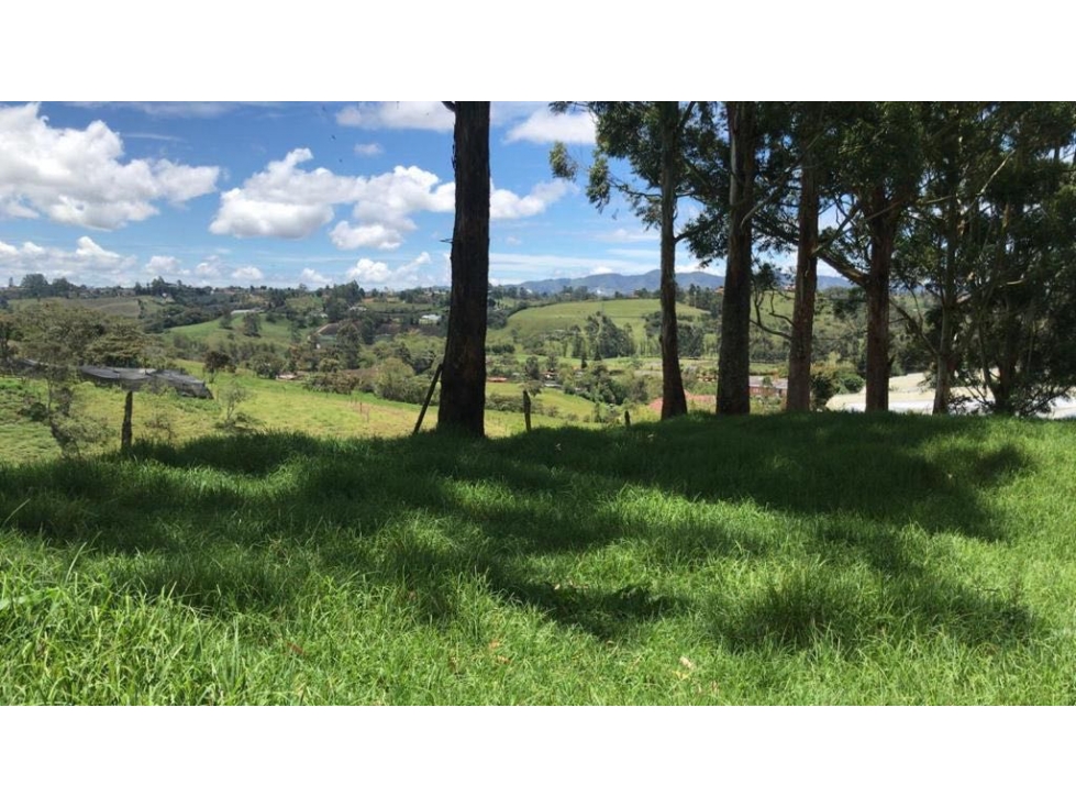 Lote en Venta en Rionegro Vía al Carmen