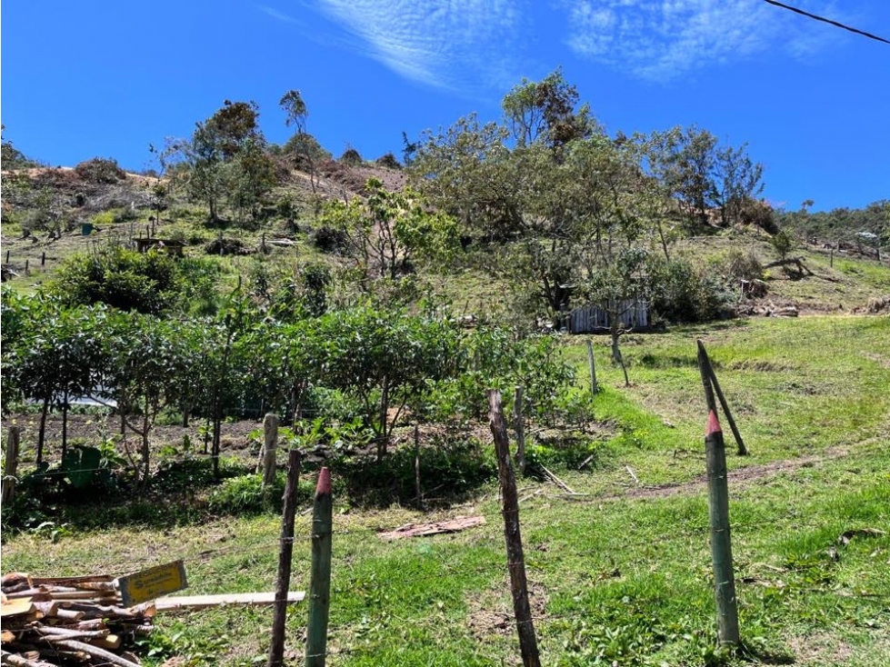 LOTE PARA LA VENTA EN UNA DE LAS MEJORES PARCELACIONES DE LA CEJA — foto 2