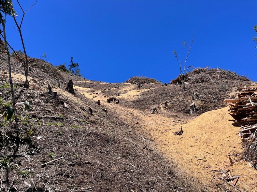 LOTE PARA LA VENTA EN UNA DE LAS MEJORES PARCELACIONES DE LA CEJA — foto 5