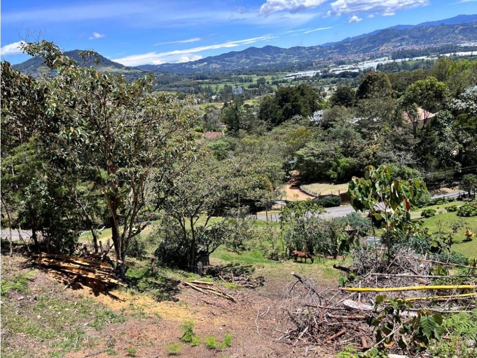 LOTE PARA LA VENTA EN UNA DE LAS MEJORES PARCELACIONES DE LA CEJA