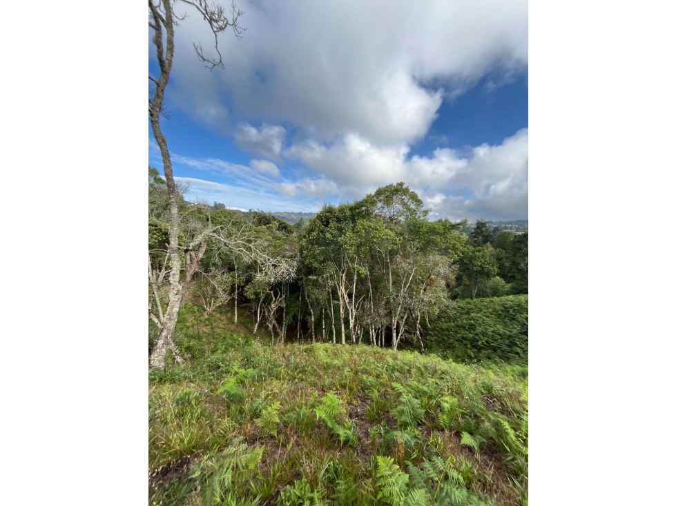 Lote para la venta en variante Via aeropuerto, Envigado — foto 3