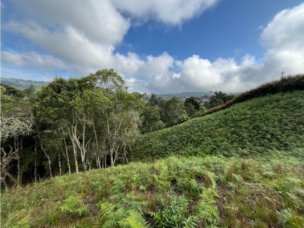 Lote para la venta en variante Via aeropuerto, Envigado — foto 6