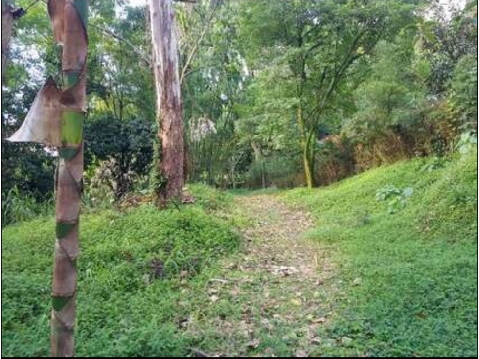 LOTE PARA LA VENTA ENVIGADO EL CHINGUI - 1