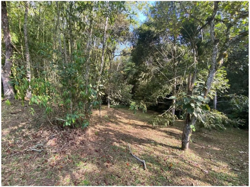 Lote para la venta independiente en la vereda vilachuaga en Llanogrand — foto 4
