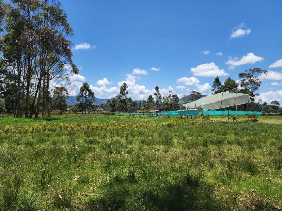 Lote para la venta Parcelacion
