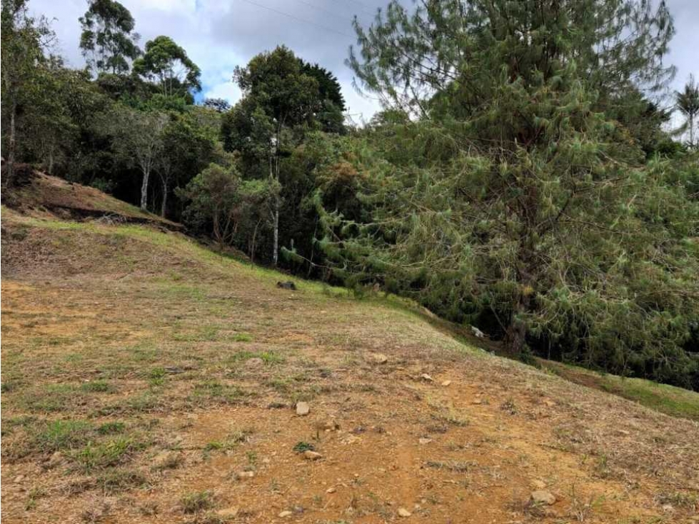 LOTE PARA LA VENTA SECTOR LA FE ORIENTE ANTIOQUEÑO — foto 5