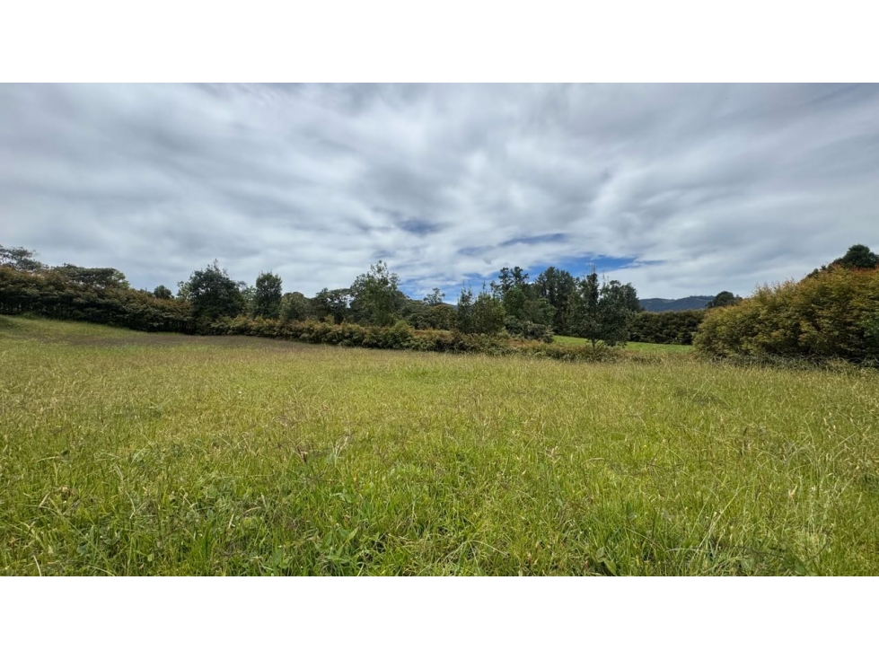 Lote para la venta vía la San Antonio la ceja unidad cerrada LDC — foto 6